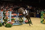 Cracker - 00291